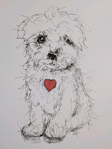 Maltese puppy dog illustration - puppy,