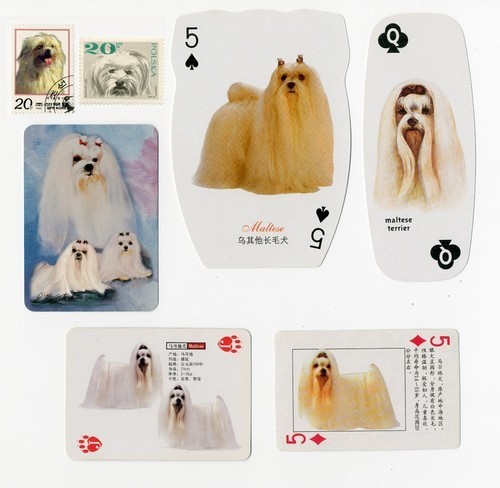 Maltese collection vintage - collection,