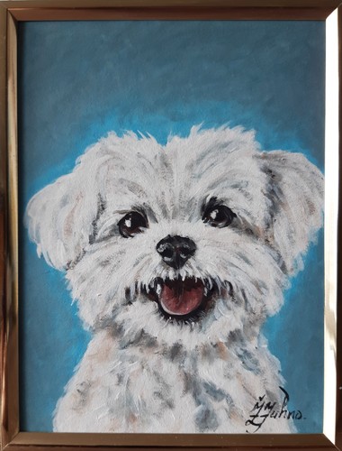 Maltese dog oil painting - dog,
