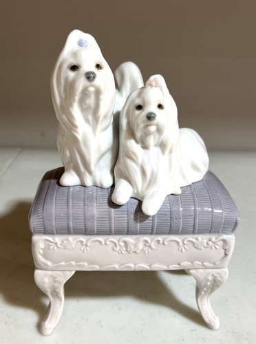 Lladro maltese dog - dog, “looking