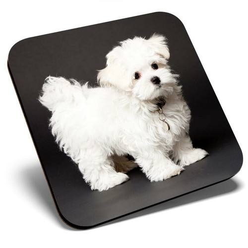 Square single coaster - coaster,