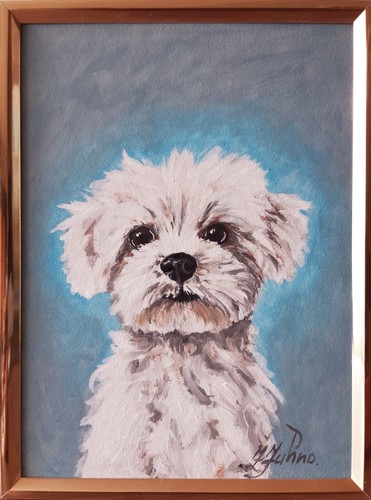Maltese dog original oil - maltese,