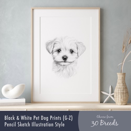 Black white dog - dog, print