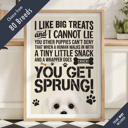 Funny dog treats - treats, lyric