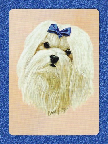 Vintage swap playing cards - playing,