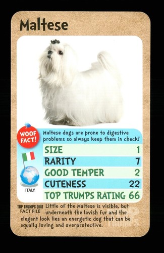 Info card the dog - 1,