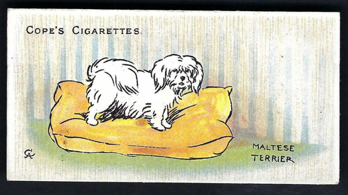 Cope dogs the - cope,