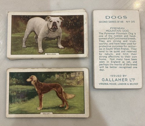1938 gallaher dogs series - 1938,