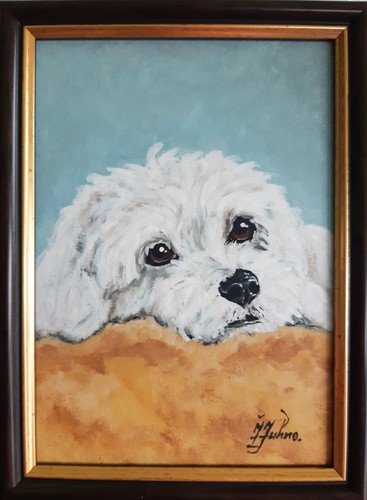 Maltese dog oil - maltese,