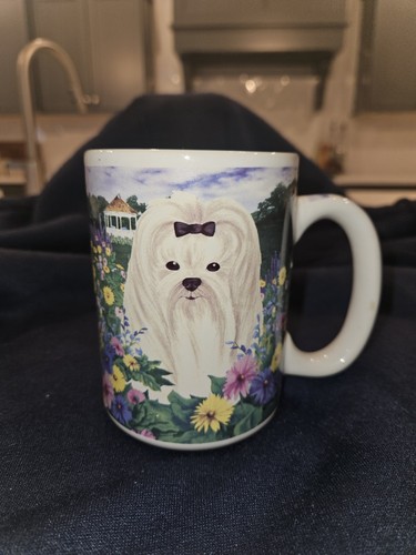 Maltese shih tzu dog - or, coffee