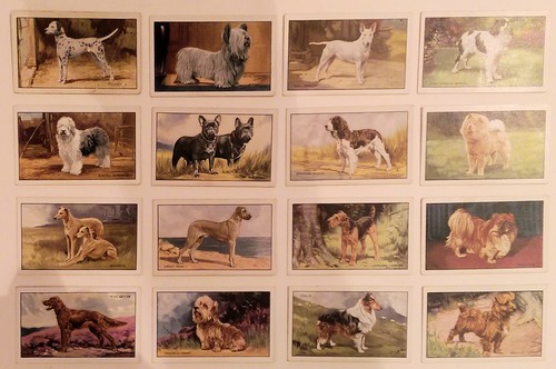 Gallaher dogs series - gallaher, &