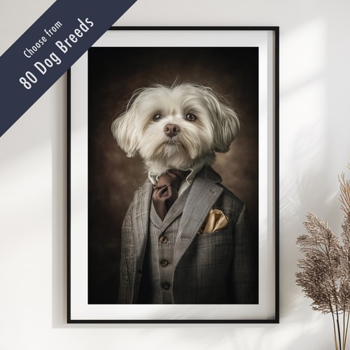 Smartly dressed dog portrait - smartly,