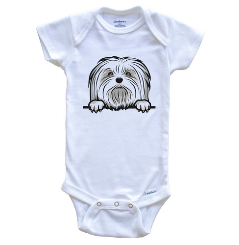 Maltese dog breed cute - maltese,
