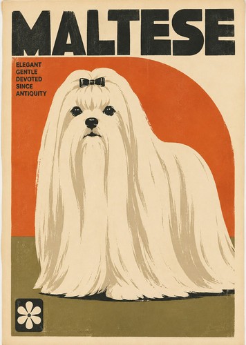 Maltese dog print retro - maltese,