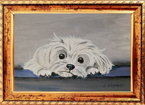 Original oil painting white - original,