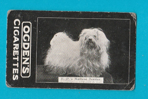 Ogdens tabs type p - type, b.