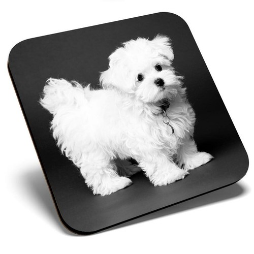 Square single coaster - coaster,