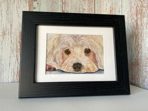 Maltese dog framed mini print - dog,
