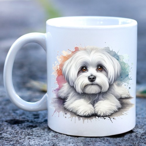 Maltese mug pet - pet, dog