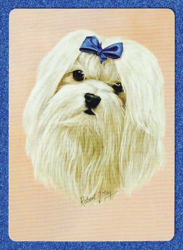 Vintage swap playing cards - swap,
