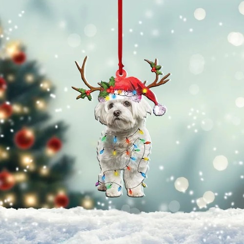 Maltese dog christmas - dog,
