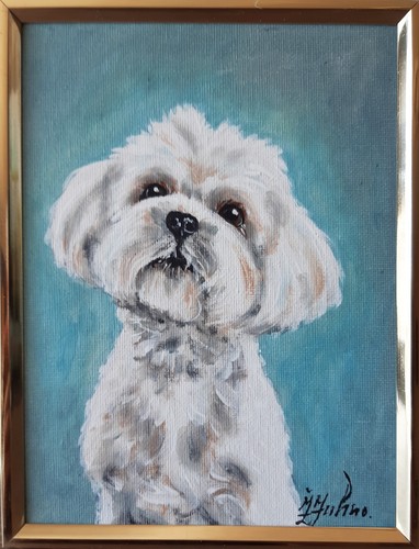 Maltese dog oil painting - dog,