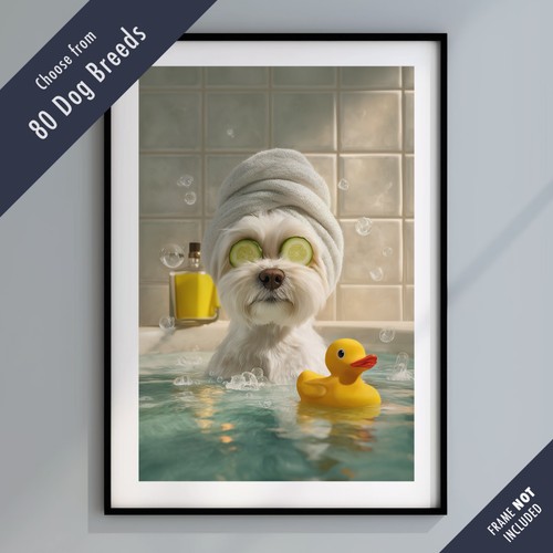 Funny dog bath - funny, –