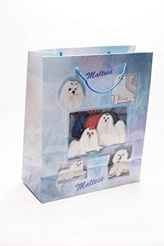 New maltese pet dog - dog, single