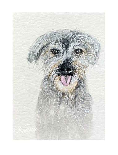 Aceo kenna original - aceo,