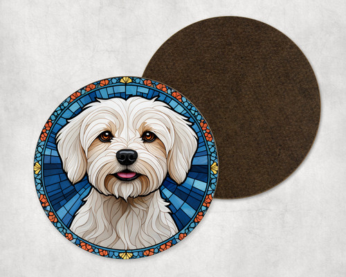 Beautiful maltese dog puppy - dog,