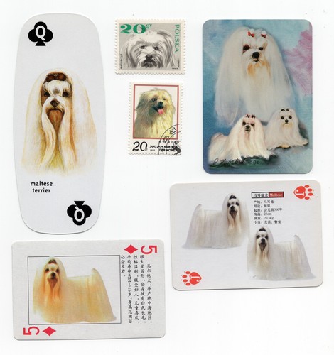 Maltese collection vintage - maltese, of
