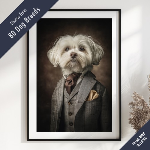 Smartly dressed dog - smartly,