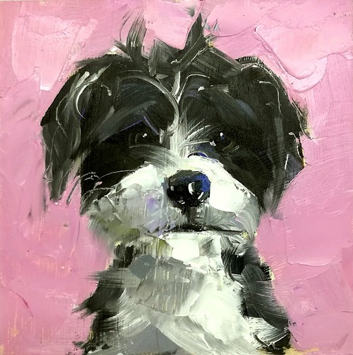 Original oil painting maltese - original,